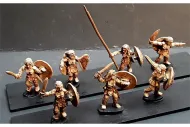 Amazonian Swordswomen with Shields (35 figures)