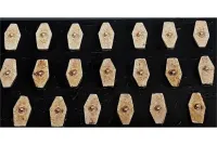 Barbarian Shield #2 (20 Shields)