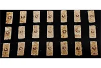 Barbarian Shield #3 (20 Shields)