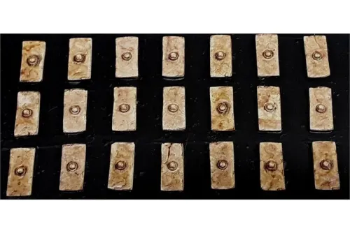 Barbarian Shield #3 (20 Shields)