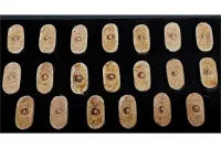 Barbarian Shield #5 (20 Shields)