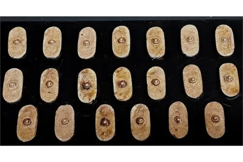 Barbarian Shield #5 (20 Shields)