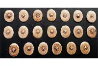Bestian Centaurian Shields (20 Shields)