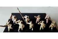 Bestian Swordsmen with Shields (35 figures)