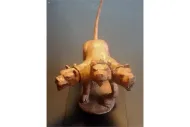 Decian Fell Hound (1 figure)