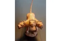 Decian Fell Hound (1 figure)