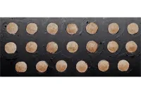 Delvian Lancer Shield (20 Shields)