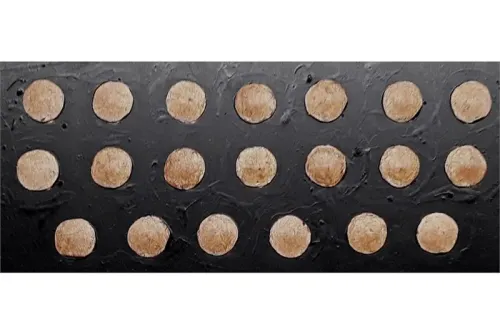 Delvian Lancer Shield (20 Shields)