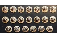 Delvian Spider Shields (20 Shields)