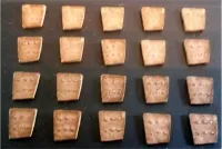 Dwarian Studded Iron Shields (20 Shields)