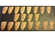 Elvian Moon Shields (20 Shields)