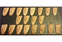 Elvian Moon Shields (20 Shields)