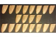 Elvian Shields (20 Shields)