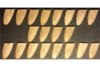 Elvian Shields (20 Shields)