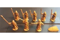 Elvian Spearmen with Shields (35 figures)