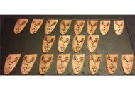 Elvian Stag Shields (20 Shields)