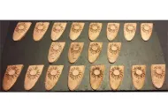 Elvian Sun Shields (20 Shields)