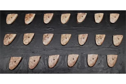 Elvian Swordsmen Shield (20 Shields)