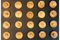 Frigian Cavalry Shields (20 Shields)