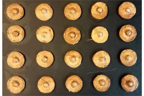 Frigian Cavalry Shields (20 Shields)