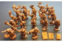 Orcian Axemen with Shields (35 figures)