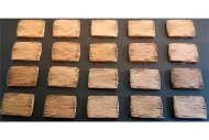 Orcian Large Wood Shields (20 Shields)