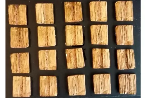 Orcian Medium Wood Shields (20 Shields)