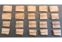 Orcian Mixed Wood Shields (20 Shields)