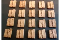 Orcian Small Wood Shields (20 Shields)