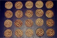 Scalian Shields (20 Shields)