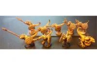 Scalian Spearmen with Shields (35 figures)
