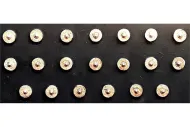 Stygian Heavy Cavalry Shields (20 Shields)