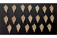 Wovian Cavalry Shield #2 (20 Shields)