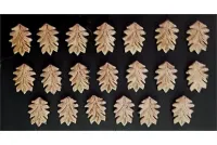 Wovian Spearmen Shields (20 Shields)