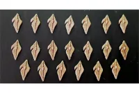 Wovian Swordsmen Shields (20 Shields)