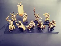 Wovian Swordsmen with Shields (35 figures)