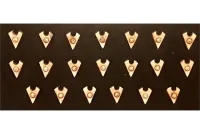 Wyrmian Cavalry Shields (20 Shields)