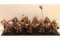 Wyrmian Swordsmen with Shields (35 figures)
